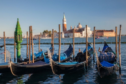 Picture of ITALY-VENICE VIEW OF GONDOLAS IN FRONT OF PIAZZA SAN MARCO (ST MARKS SQUARE)