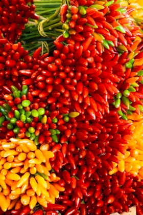 Picture of ITALY-VENICE COLORFUL SPICY PEPPERS (PEPPERONCINI) ON DISPLAY AND FOR SALE IN THE RIALTO MARKET