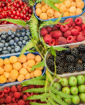 Picture of ITALY-VENICE A VARIETY OF BERRIES ON DISPLAY AND FOR SALE IN THE RIALTO MARKET