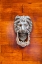 Picture of ITALY-VENICE-BURANO ISLAND CLOSEUP OF A LION HEAD DOOR KNOCKER ON A WOODEN DOOR
