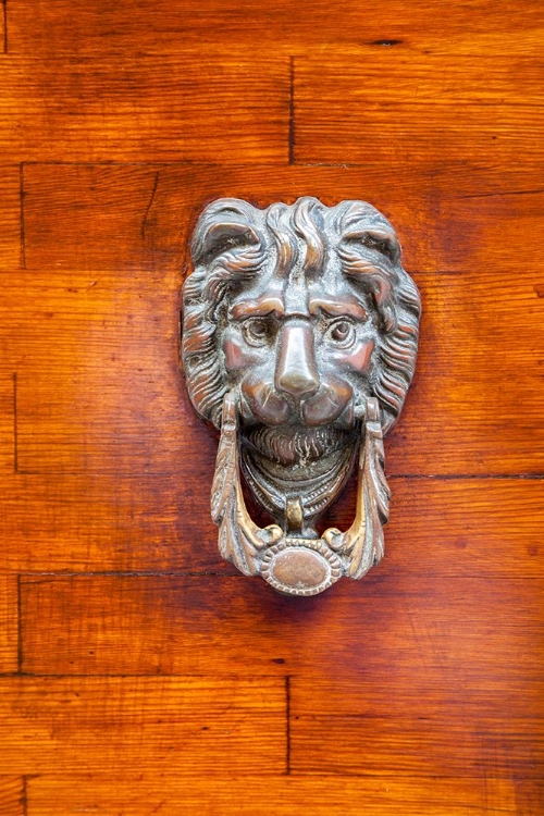 Picture of ITALY-VENICE-BURANO ISLAND CLOSEUP OF A LION HEAD DOOR KNOCKER ON A WOODEN DOOR