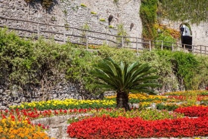 Picture of ITALY-CAMPANIA-RAVELLO FLOWER GARDEN OF VILLA RUFOLO OVER LOOKING THE AMALFI COAST