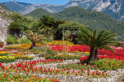 Picture of ITALY-RAVELLO FLOWER GARDEN OF VILLA RUFOLO OVER LOOKING THE AMALFI COAST AND THE GULF OF SALERNO