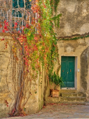 Picture of ITALY-TUSCANY-MONTICCHIELLO RED IVY COVERING THE WALLS OF THE BUILDINGS