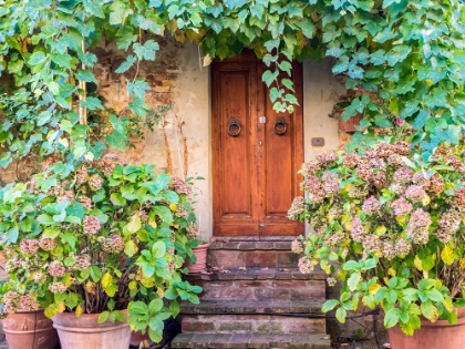 Picture of ITALY-TUSCANY-PIENZA DOORWAY SURROUNDED BY FLOWERS