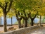 Picture of ITALY-TUSCANY-RADICOFANI PARK SETTING IN THE TOWN OF RADICOFANI OVERLOOKING THE VALLEY BELOW