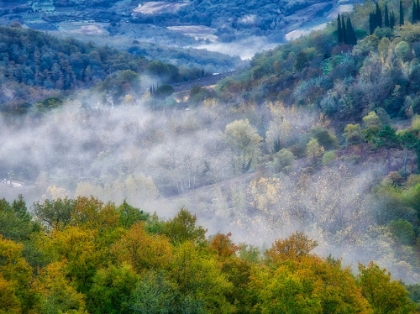 Picture of ITALY-TUSCANY AUTUMN MORNING WITH FOG IN THE TUSCAN VALLEY