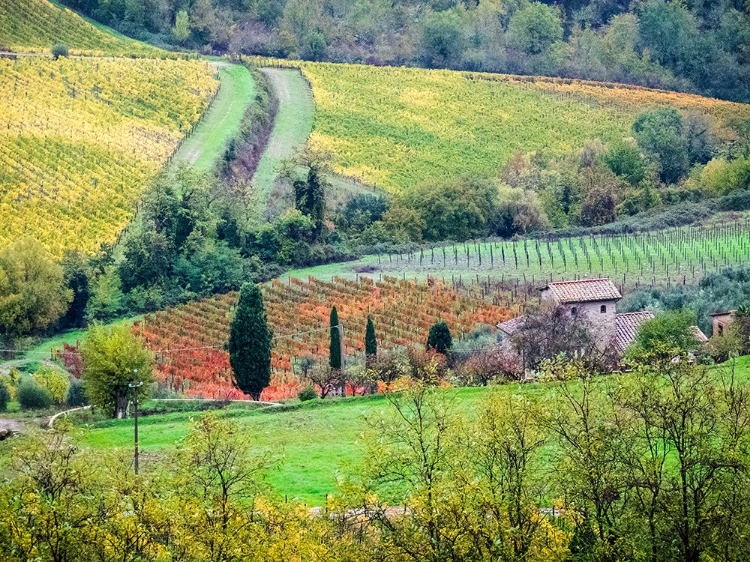 Picture of ITALY-TUSCANY VIEW OF THE TUSCAN COUNTRYSIDE