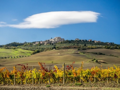 Picture of ITALY-TUSCANY COLORFUL VINEYARDS IN AUTUMN WITH BLUE SKIES AND CLOUDS