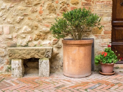 Picture of ITALY-TUSCANY-PIENZA POTTED PLANTS AND STONE BENCH ALONG THE STREETS