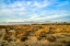Picture of ITALY-RISERVA NATURALE DI MASSACIUCCOLI SAN ROSSORE-PROTECTED COASTAL FOREST IN TUSCANY