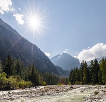 Picture of RIVER SARCA-VAL DI GENOVA IN THE PARCO NATURALE ADAMELLO-BRENTA-TRENTINO-ITALY-VAL RENDENA