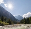 Picture of RIVER SARCA-VAL DI GENOVA IN THE PARCO NATURALE ADAMELLO-BRENTA-TRENTINO-ITALY-VAL RENDENA