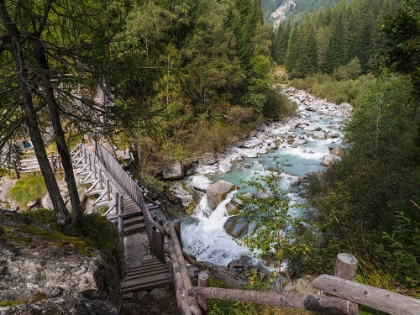 Picture of RIVER SARCA-VAL DI GENOVA IN THE PARCO NATURALE ADAMELLO-BRENTA-TRENTINO-ITALY-VAL RENDENA