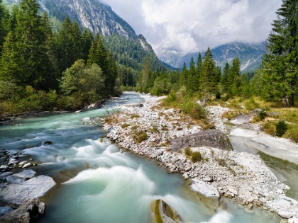 Picture of RIVER SARCA-VAL DI GENOVA IN THE PARCO NATURALE ADAMELLO-BRENTA-TRENTINO-ITALY-VAL RENDENA