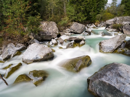 Picture of RIVER SARCA-VAL DI GENOVA IN THE PARCO NATURALE ADAMELLO-BRENTA-TRENTINO-ITALY-VAL RENDENA