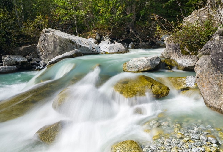 Picture of RIVER SARCA-VAL DI GENOVA IN THE PARCO NATURALE ADAMELLO-BRENTA-TRENTINO-ITALY-VAL RENDENA