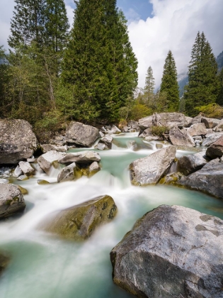 Picture of RIVER SARCA-VAL DI GENOVA IN THE PARCO NATURALE ADAMELLO-BRENTA-TRENTINO-ITALY-VAL RENDENA