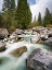 Picture of RIVER SARCA-VAL DI GENOVA IN THE PARCO NATURALE ADAMELLO-BRENTA-TRENTINO-ITALY-VAL RENDENA