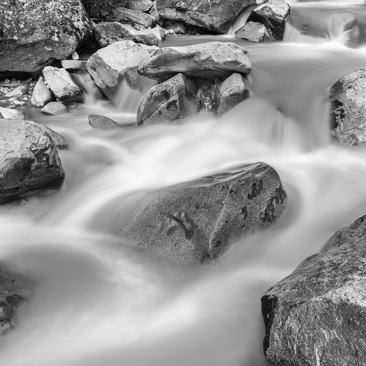 Picture of RIVER SARCA-VAL DI GENOVA IN THE PARCO NATURALE ADAMELLO-BRENTA-TRENTINO-ITALY-VAL RENDENA