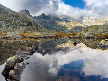 Picture of LAGO NERO IN THE PRESANELLA MOUNTAIN RANGE-PARCO NATURALE ADAMELLO-BRENTA-TRENTINO-ITALY-VAL RENDEN