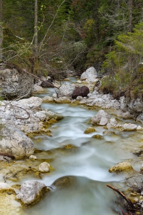 Picture of TSCHAMIN VALLEY-VALLE DI CIAMIN-IN THE ROSENGARTEN-CATINACCIO MOUNTAIN RANGE-THE DOLOMITES ARE LIST