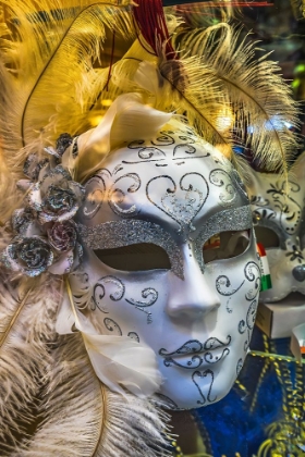 Picture of WHITE VENETIAN MASK FEATHERS-VENICE-ITALY-USED SINCE 1200S FOR CARNIVAL-ALSO USED FOR MARDI GRAS