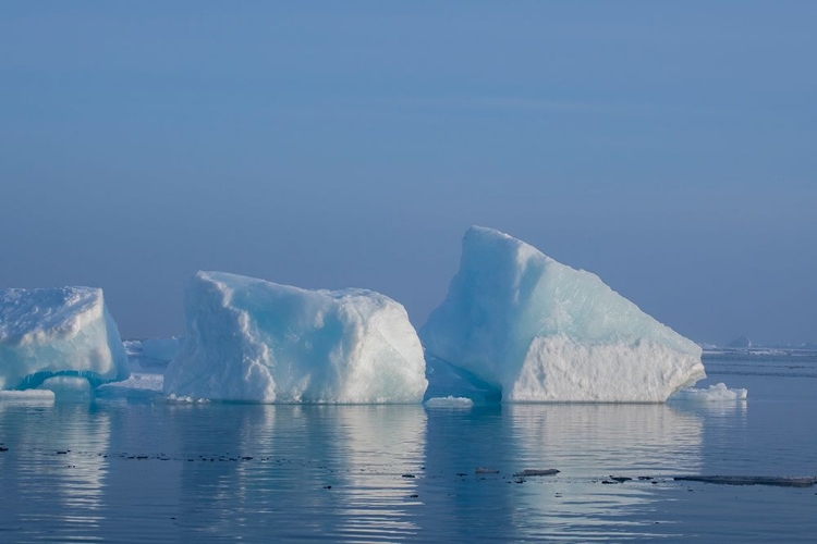 Picture of NORWAY-HIGH ARCTIC ICE LANDSCAPE WITH ICEBERGS