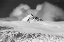 Picture of STORMY CLOUDS APPROACHING THE LILLIEHOOKBREEN GLACIER