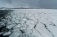 Picture of MURCHISON BAY-MURCHISONFJORDEN-NORDAUSTLANDET-SVALBARD ISLANDS-NORWAY