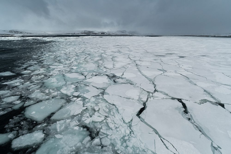 Picture of MURCHISON BAY-MURCHISONFJORDEN-NORDAUSTLANDET-SVALBARD ISLANDS-NORWAY