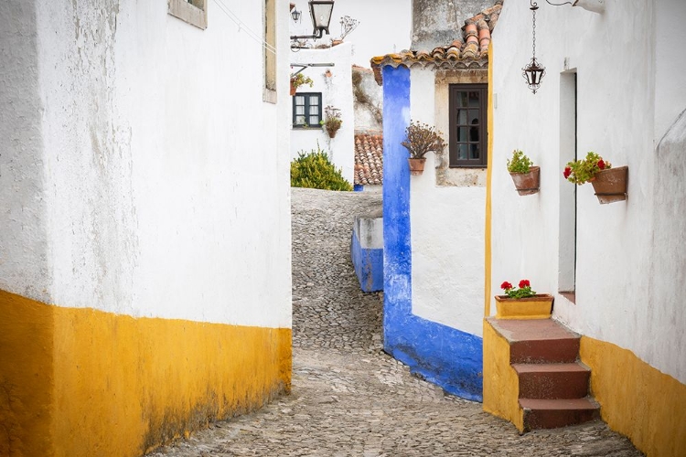 Picture of EUROPE-PORTUGAL-OBIDOS-HOUSES ON COBBLESTONE STREET