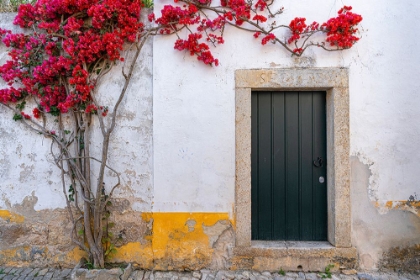 Picture of EUROPE-PORTUGAL-OBIDOS-BOUGAINVILLEA PLANT ON HOUSE WALL