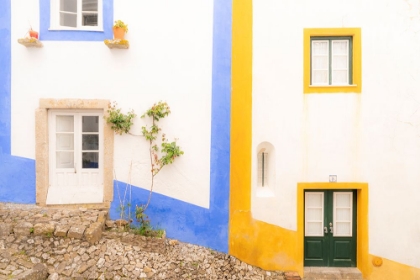 Picture of EUROPE-PORTUGAL-OBIDOS-COLORFUL EXTERIOR OF HOUSES