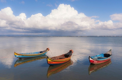 Picture of EUROPE-PORTUGAL-AVEIRO LAGOON-TRADITIONAL FISHING BOATS MOORED IN WATER