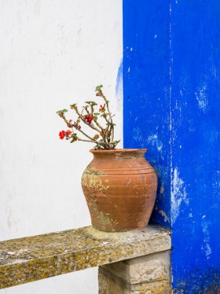 Picture of PORTUGAL-OBIDOS-PLANT IN A TERRACOTTA POT ON STONE BENCH