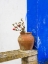Picture of PORTUGAL-OBIDOS-PLANT IN A TERRACOTTA POT ON STONE BENCH