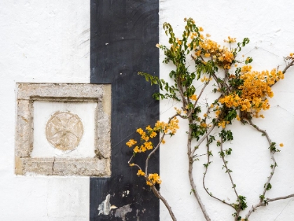 Picture of PORTUGAL-OBIDOS-ORANGE BOUGAINVILLEA GROWING AGAINST A WALL AND CARVED SCULPTURE ON WALL