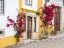 Picture of PORTUGAL-OBIDOS-DARK PINK BOUGAINVILLEA VINE GROWING ALONG SIDE THE ENTRANCE OF A HOME IN THE WALLE