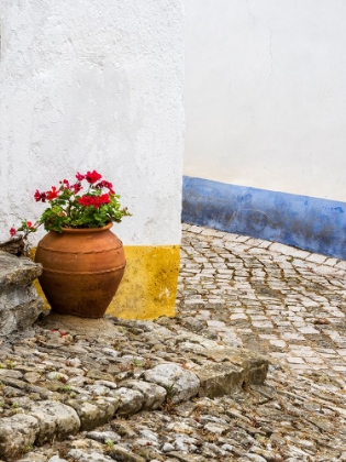 Picture of PORTUGAL-OBIDOS-RED GERANIUM GROWING IN A TERRA COTTA POT NEXT TO THE ENTRANCE OF A HOME IN THE HIS