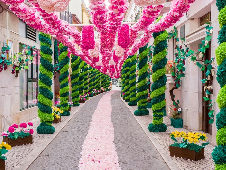 Picture of PORTUGAL-TOMAR-DURING THE FEAST OF THE TRAYS-OR FESTA DOS TABULEIROS-THE RESIDENTS OF EACH STREET C