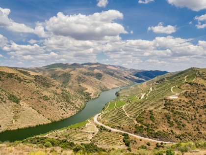 Picture of PORTUGAL-DOURO VALLEY-DOURO RIVER IN THE PORTUGAL WINE REGION AND VINEYARDS ON HILLS ALONG DOURO RI