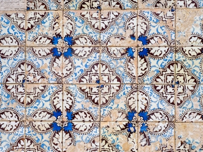 Picture of PORTUGAL-COSTA NOVA-COLORFUL AZULEJO TILES ON THE EXTERIOR WALL OF HOUSE