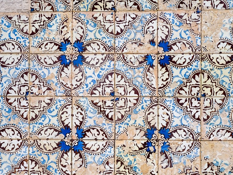 Picture of PORTUGAL-COSTA NOVA-COLORFUL AZULEJO TILES ON THE EXTERIOR WALL OF HOUSE