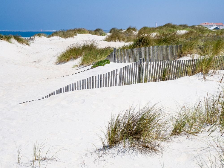 Picture of PORTUGAL-COSTA NOVA-BEACH GRASS-SAND AND OLD FENCE LINE AT THE BEACH RESORT OF COSTA NOVA NEAR AVEI