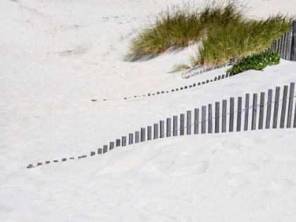 Picture of PORTUGAL-COSTA NOVA-BEACH GRASS-SAND AND OLD FENCE LINE AT THE BEACH RESORT OF COSTA NOVA NEAR AVEI