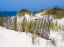 Picture of PORTUGAL-COSTA NOVA-BEACH GRASS-SAND AND OLD FENCE LINE AT THE BEACH RESORT OF COSTA NOVA NEAR AVEI