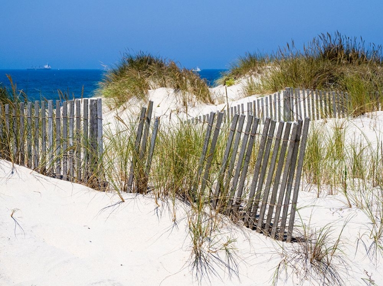 Picture of PORTUGAL-COSTA NOVA-BEACH GRASS-SAND AND OLD FENCE LINE AT THE BEACH RESORT OF COSTA NOVA NEAR AVEI