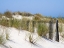 Picture of PORTUGAL-COSTA NOVA-BEACH GRASS-SAND AND OLD FENCE LINE AT THE BEACH RESORT OF COSTA NOVA NEAR AVEI