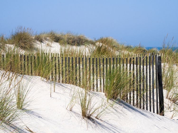 Picture of PORTUGAL-COSTA NOVA-BEACH GRASS-SAND AND OLD FENCE LINE AT THE BEACH RESORT OF COSTA NOVA NEAR AVEI